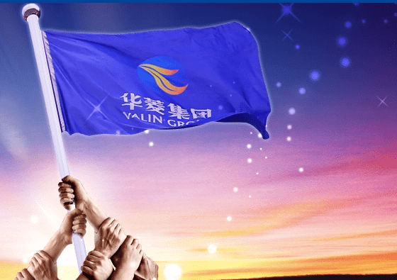 湖南華菱鋼鐵有限公司 湖南華菱鋼鐵有限公司